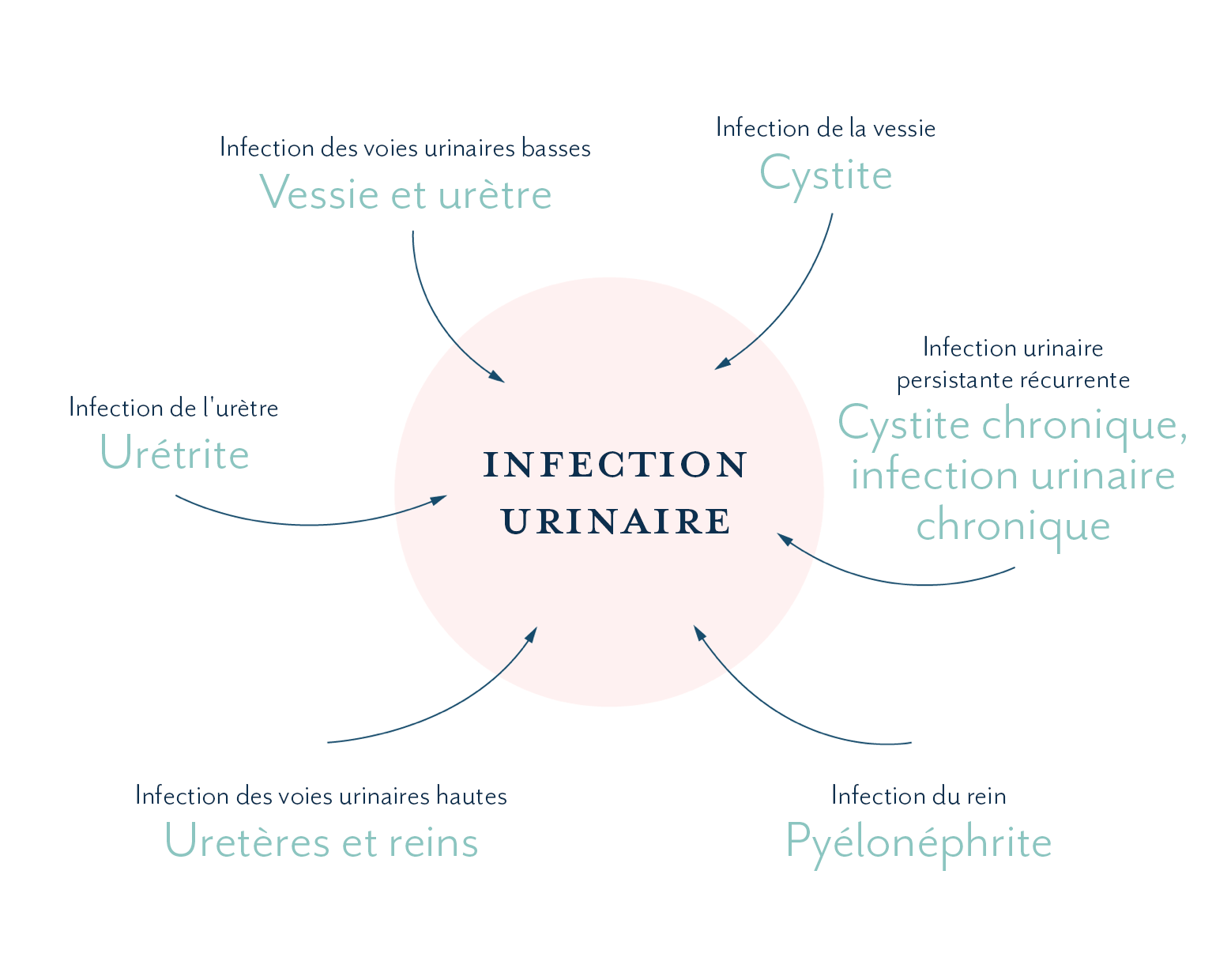 Différents noms des infections urinaires, cystites, pyélonéphrite, urétrite...