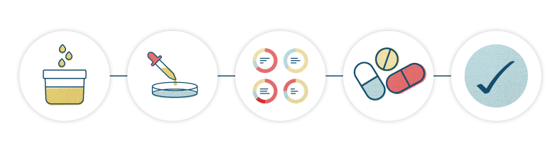 Processus simplifié d'une infection urinaire