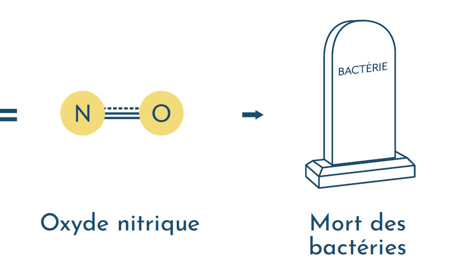 La Vitamine C est-elle efficace contre les infections urinaires ?