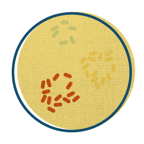 Urinary tract infection test results