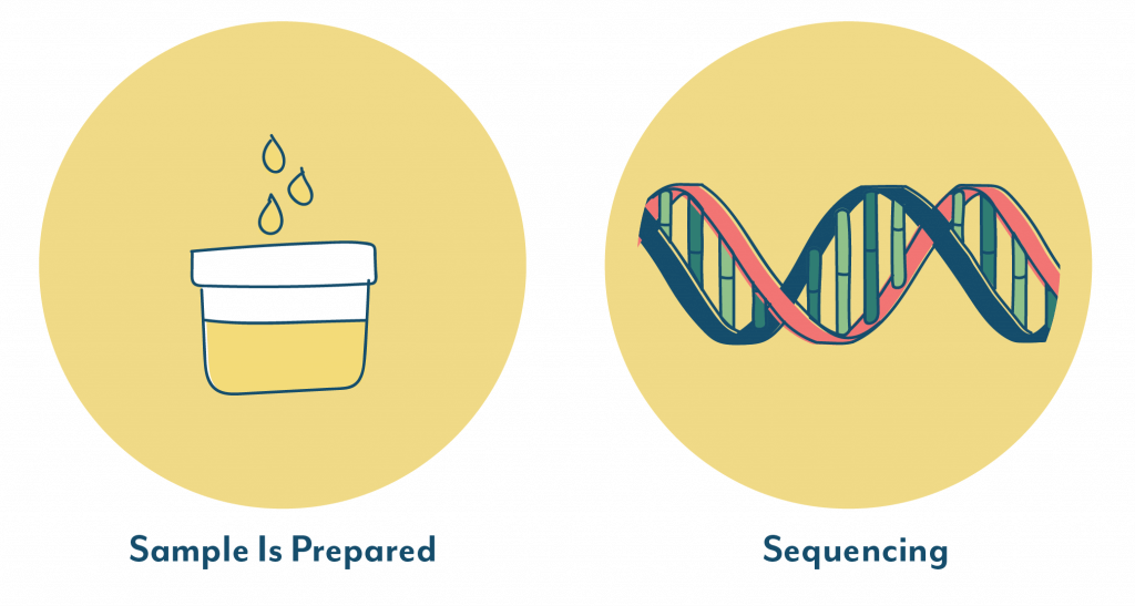 Next Generation Sequencing steps by Aperiomics