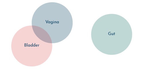 Interconnected urinary and vaginal microbiomes