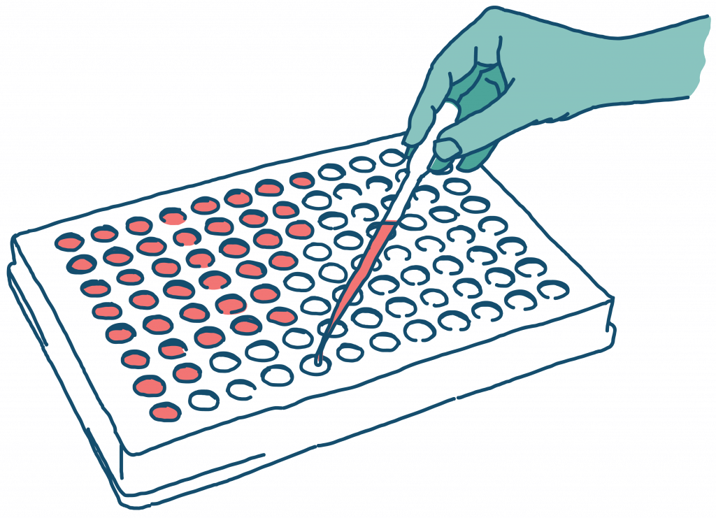 Antibiotic susceptibility testing for polymicrobial infection