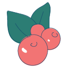 cranberries