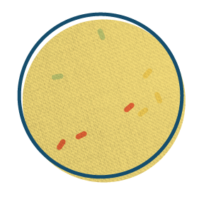 Urinary tract infection negative result
